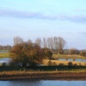 Redichemse Waard3 (640x428).jpg