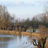 Redichemse Waard2 (640x428).jpg