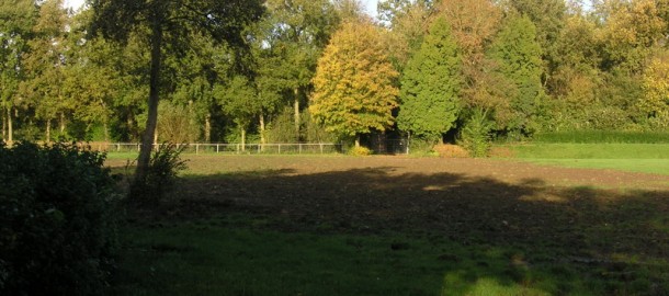 Sprokkelenburg_braakliggend_01